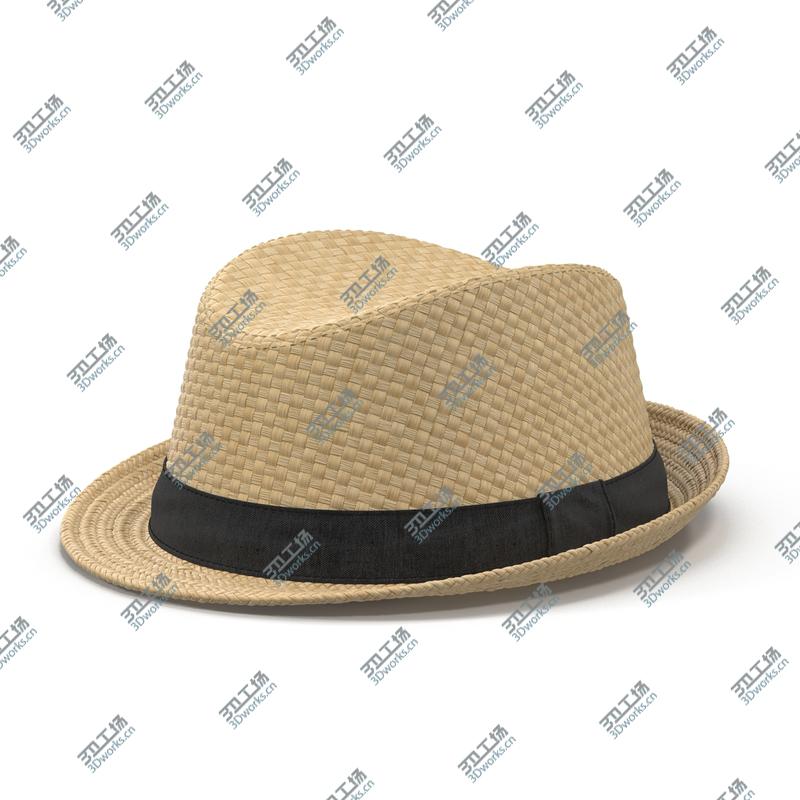 images/goods_img/2021040234/Mens Straw Hat/3.jpg